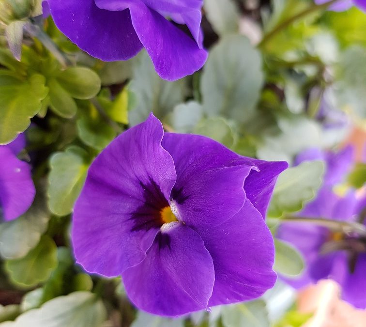 Nuovo numero della newsletter Ambiente Informa del Sistema Nazionale per la Protezione dell’Ambiente