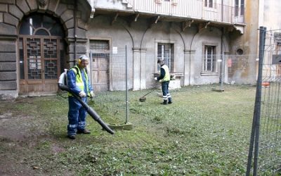 Gli interventi di manutenzione del verde pubblico sino al 15 marzo a Verona