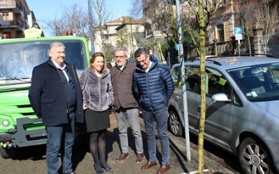 Rimossi e sostituiti ventitré alberi malati e pericolanti in via Nino Bixio a Verona