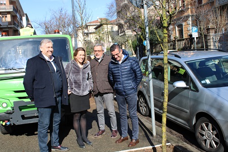 Rimossi e sostituiti ventitré alberi malati e pericolanti in via Nino Bixio a Verona
