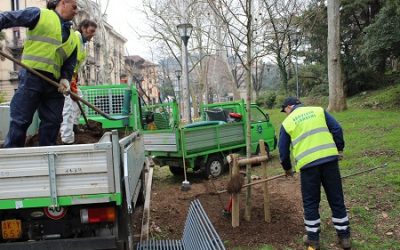 Amia ha piantato oltre cinquanta alberi nella seconda  Circoscrizione di Verona