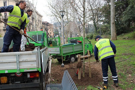Amia ha piantato oltre cinquanta alberi nella seconda  Circoscrizione di Verona