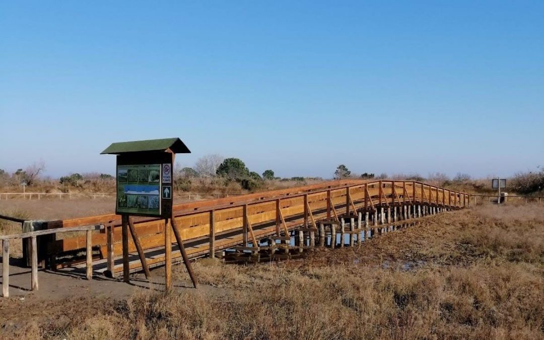 Veneto Agricoltura ha realizzato una nuova passerella pedonale al Giardino Botanico di Porto Caleri