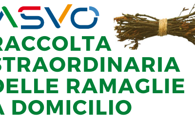 La società Ambiente Servizi Venezia Orientale effettuerà un ritiro straordinario a domicilio delle ramaglie