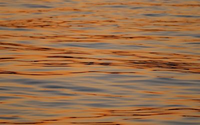I lavori del Consorzio di bonifica Brenta per la sicurezza idraulica del torrente Trieste