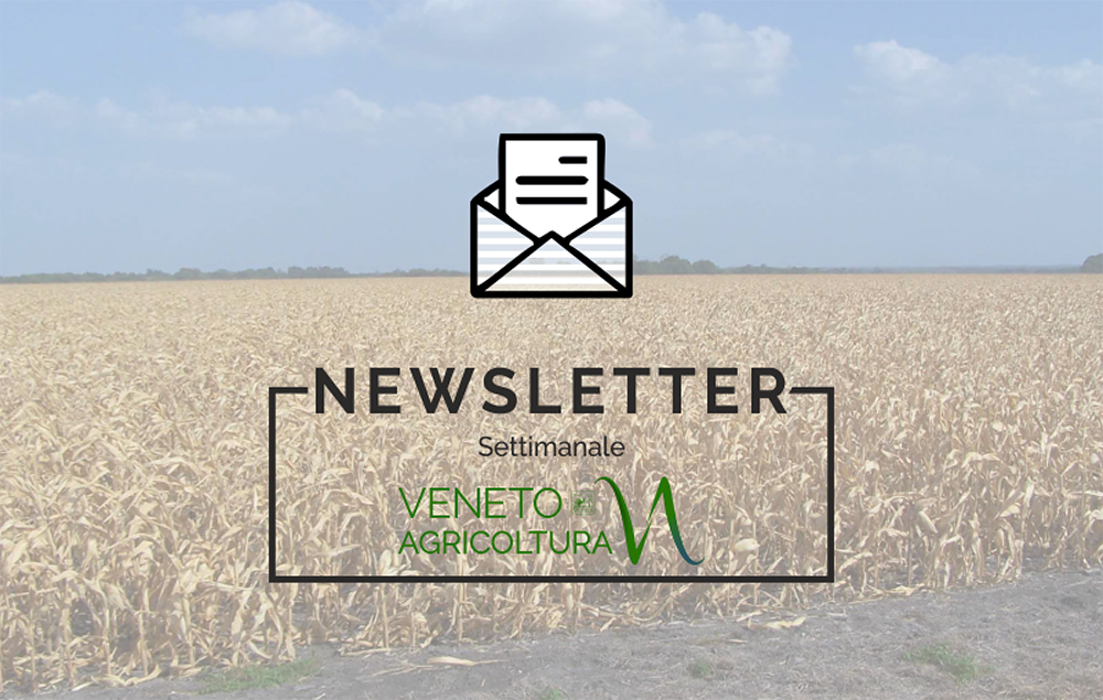 E’ stato diffuso ed è disponibile anche online l’ultimo numero della newsletter Agricoltura Veneta