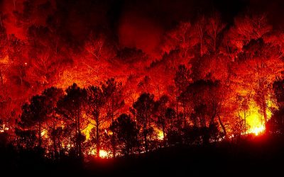 La Regione Veneto ha dichiarato lo stato di grave pericolosità per gli incendi boschivi