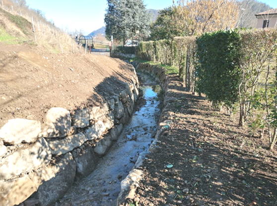 Interventi di sistemazione idraulica e forestale di Veneto Agricoltura sui Colli Euganei