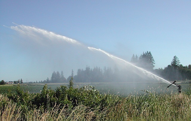 Conclusi i lavori sulla roggia Barene a Chioggia: nessun problema per la stagione irrigua