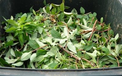 Etra riapre i centri di raccolta dei rifiuti, ma solamente  per il verde e le ramaglie