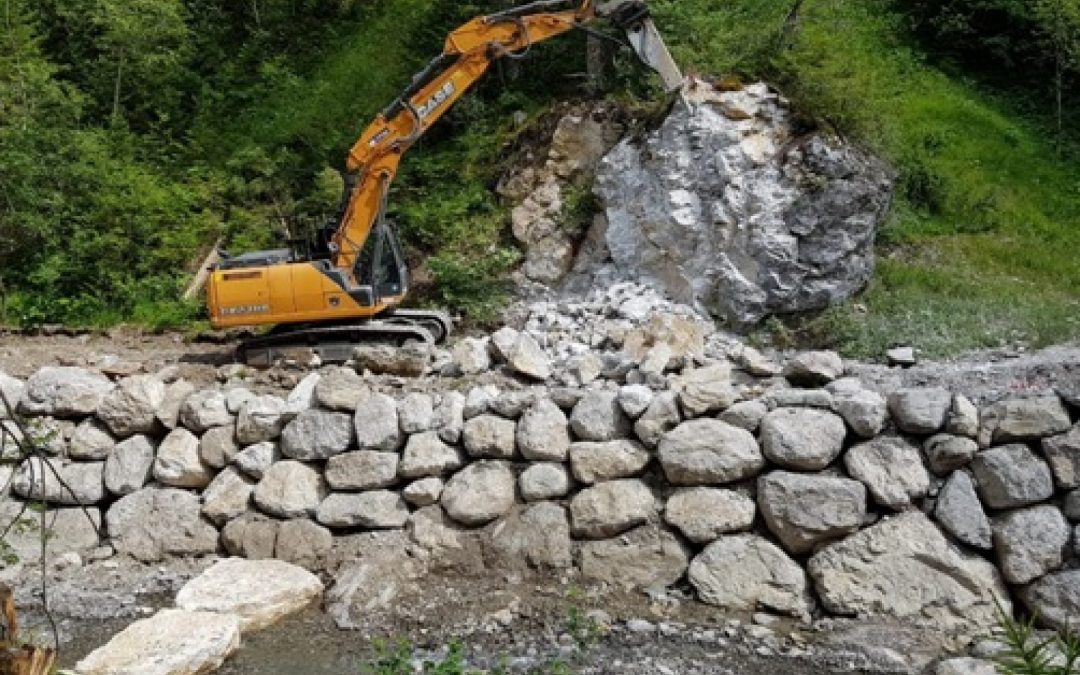 Veneto Agricoltura ha ripreso gli interventi di ripristino dell’area colpita dalla Tempesta Vaia