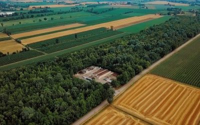 Bosco, ecocentro e impianto di depurazione: a Meolo la simbiosi uomo/ambiente diventa un tour