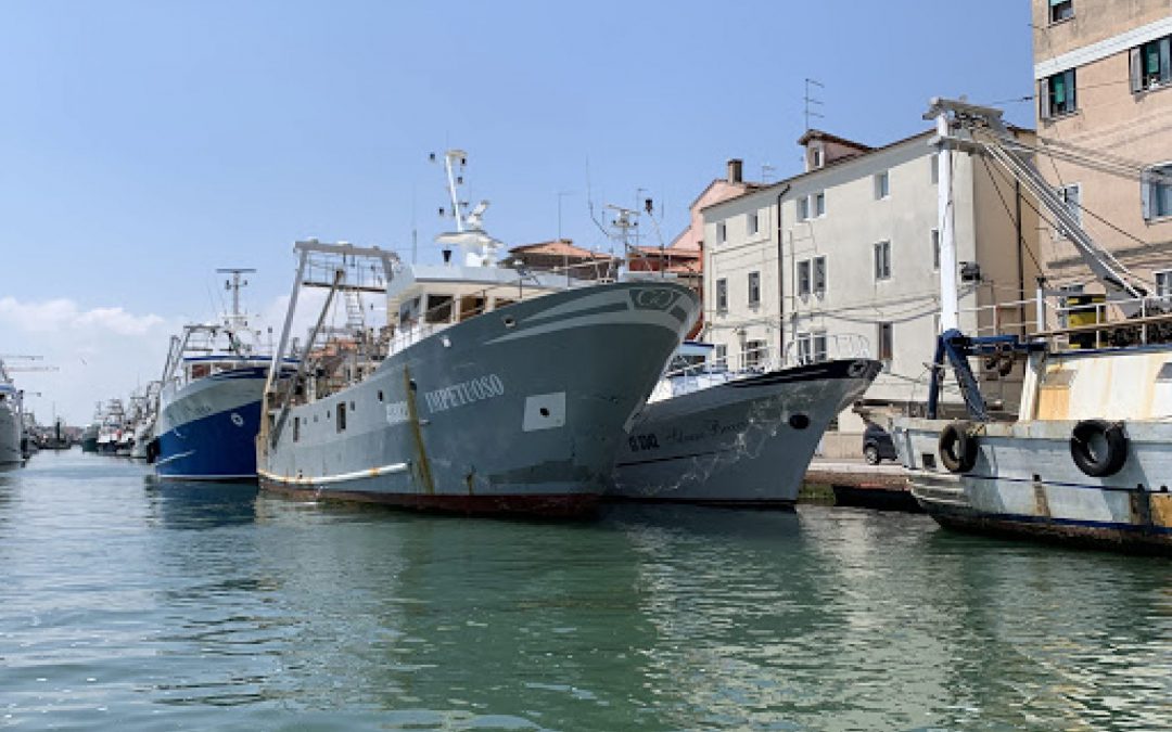 Veneto Agricoltura segnala che vi sono troppi segni “meno” per il settore ittico veneziano