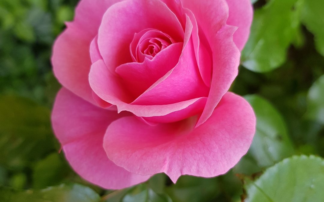 Nuovo numero della newsletter “Ambiente Informa” del Sistema Nazionale per la Protezione dell’Ambiente