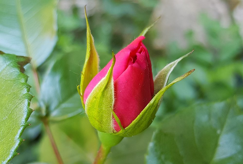 E’ stato diffuso un nuovo numero della newsletter Ambiente Informa. E’ disponibile anche on line