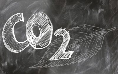 Con il recuepro degli imballaggi 1,27 miliardi di euro di benefici e 4,4 milioni di  tonnellate di CO2 in meno nel 2020