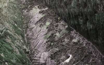 Consorzio Brenta: tutti i lavori del mese di giugno per la sicurezza idraulica del territorio