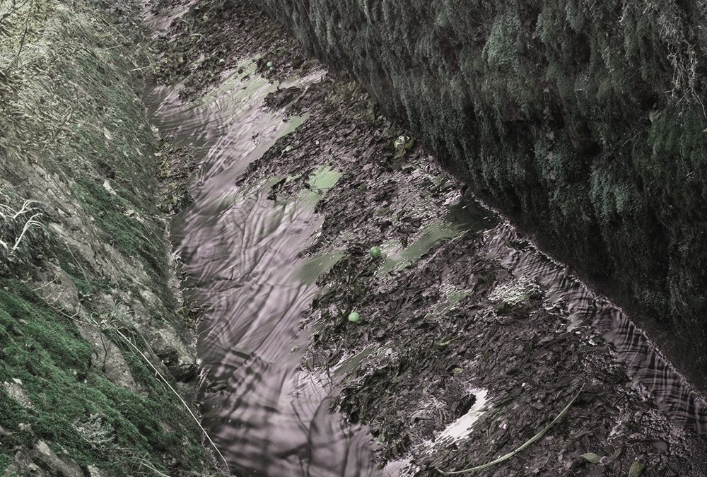 Consorzio Brenta: tutti i lavori del mese di giugno per la sicurezza idraulica del territorio