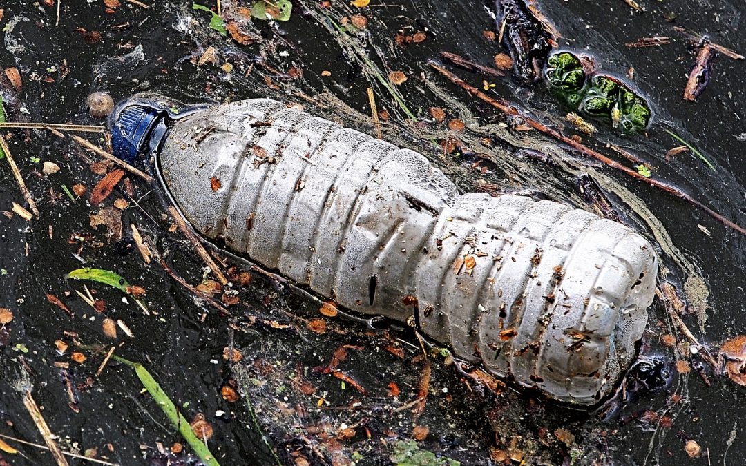 Progetto INTERREG CE CIRCE2020: un seminario sulla riduzione e il riutilizzo degli imballaggi di plastica