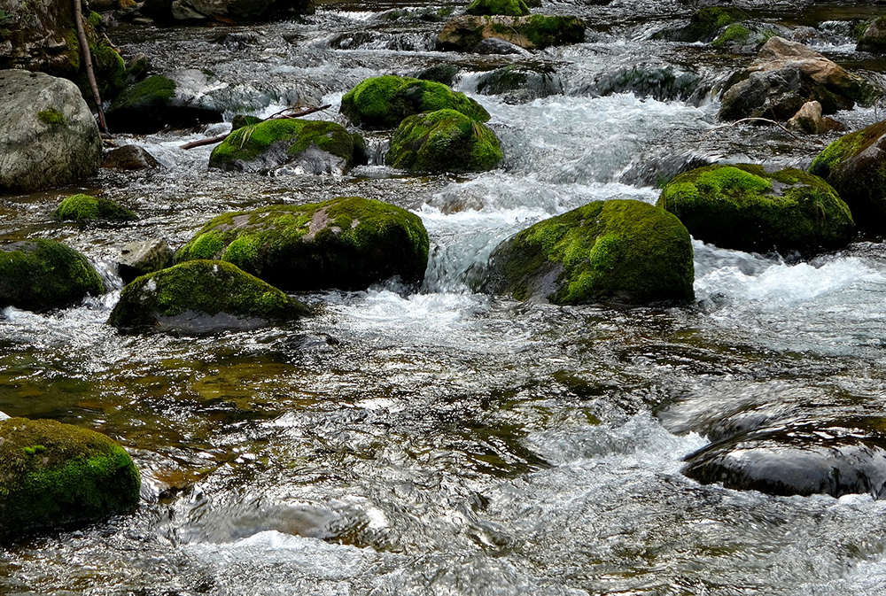 L’Unità Organizzativa Forestale della Regione Veneto mette in sicurezza il torrente Molinà tra Calalzo e Domegge