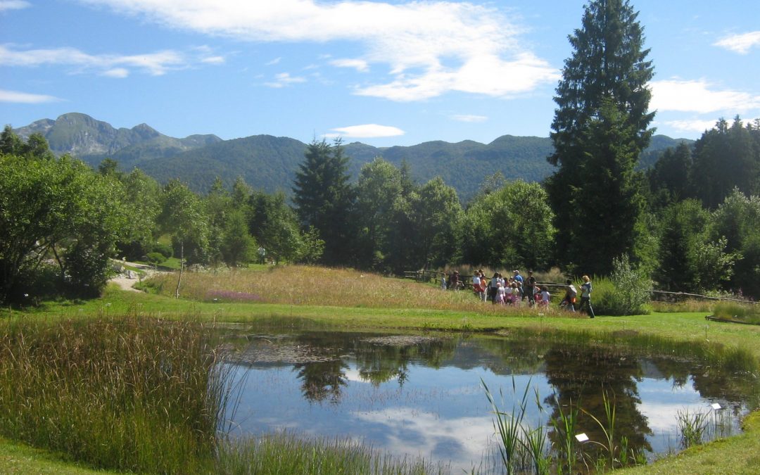 Il Giardino Botanico Alpino del Cansiglio gestito dall’agenzia Veneto Agricoltura entra nella Garden Route Italia