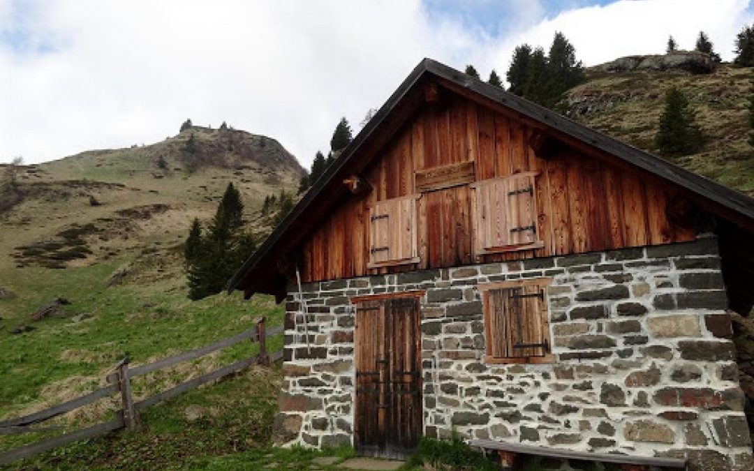 La Regione del Veneto proroga la scadenza degli impegni pluriennali del PSR e delle indennità per le zone montane