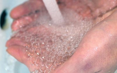Alla riscoperta delle 130 fontane della Città di Treviso per valorizzare la bontà dell’acqua pubblica