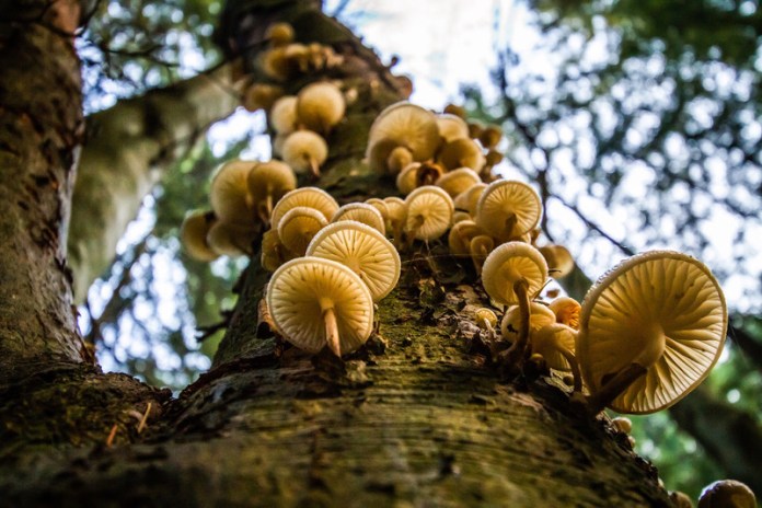 Concorso “Fotografa l’ambiente della tua regione”: è on line su Ambiente Informa la fotografia della terza settimana