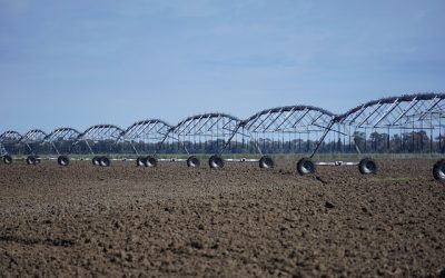 Ufficialmente aperta la stagione irrigua con un webinar dell’ANBI Veneto e del Consorzio di bonifica LEB