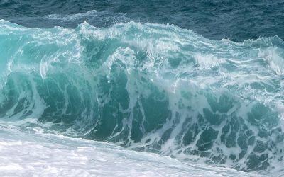 Ambiente Informa: report del SNPA sui metodi per determinare lo stato ecologico delle acque marino-costiere