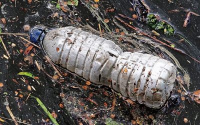 Nuova iniziativa di sensibilizzazione ambientale del Comune di Vicenza con l’organizzazione Plastic Free