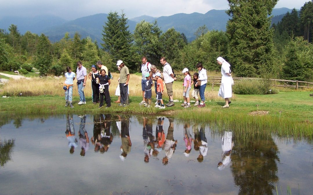 Veneto Agricoltura segnala in Cansiglio una settimana di viste guidate e di eventi ricchi di sorprese da non perdere