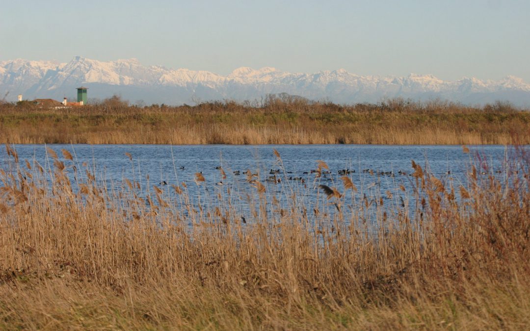 #restiamonelveneto! è l’hashtag di Veneto Agricoltura a sostegno del turismo e delle visite alle aree naturali