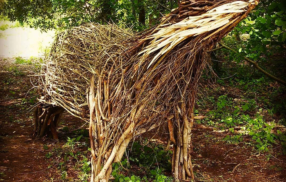 Ecco il calendario degli eventi estivi a Bosco Nordio sito inserito nel progetto europeo di tutela ecologica LIFE REDUNE