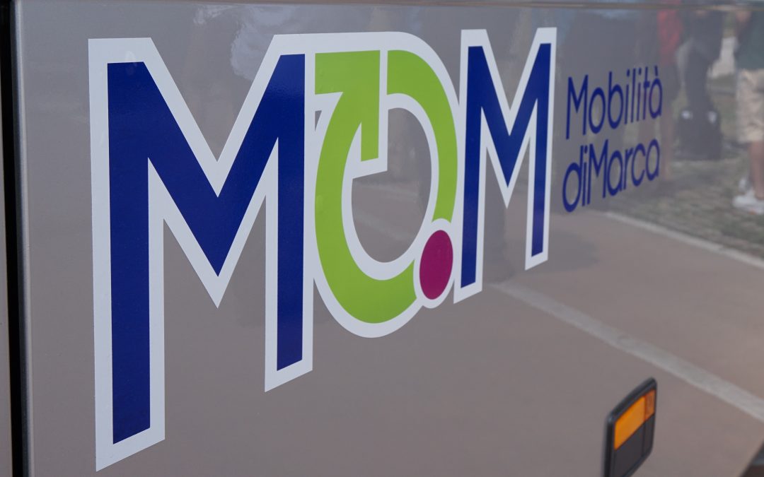 Modifiche ai percorsi degli autobus di Mobilità di Marca nel primo pomeriggio di domani a Castelfranco Veneto