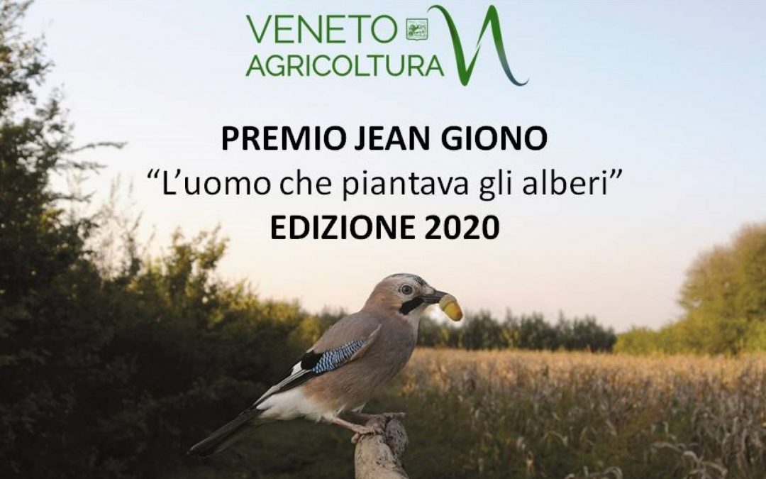 Premio “Jean Giono, l’uomo che piantava gli alberi”: sono gli ultimi giorni per far rinascere i boschi veneti