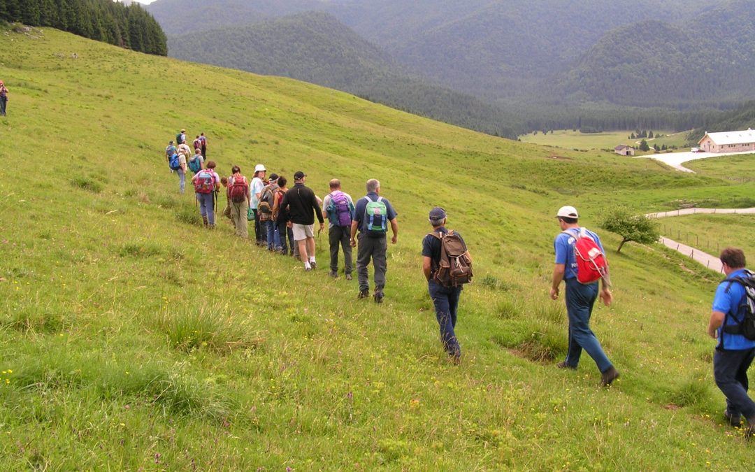 Molte e interessanti le proposte di Veneto Agricoltura per trascorre l’ultimo week-end di agosto in Cansiglio