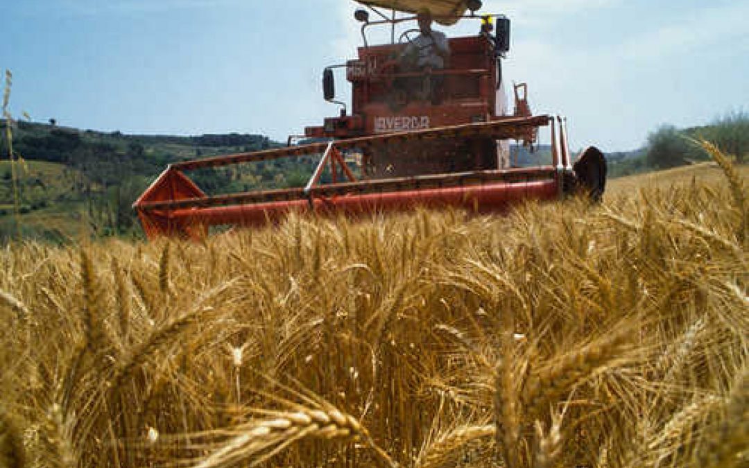 Agenda 2030: un corso di formazione a distanza per i tecnici e del sistema dell’agricoltura e dello sviluppo rurale