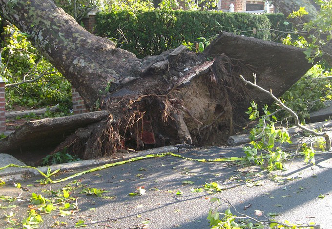 Un mese di lavori di Amia Verona per risistemare il territorio dopo le violente precipitazioni di fine agosto