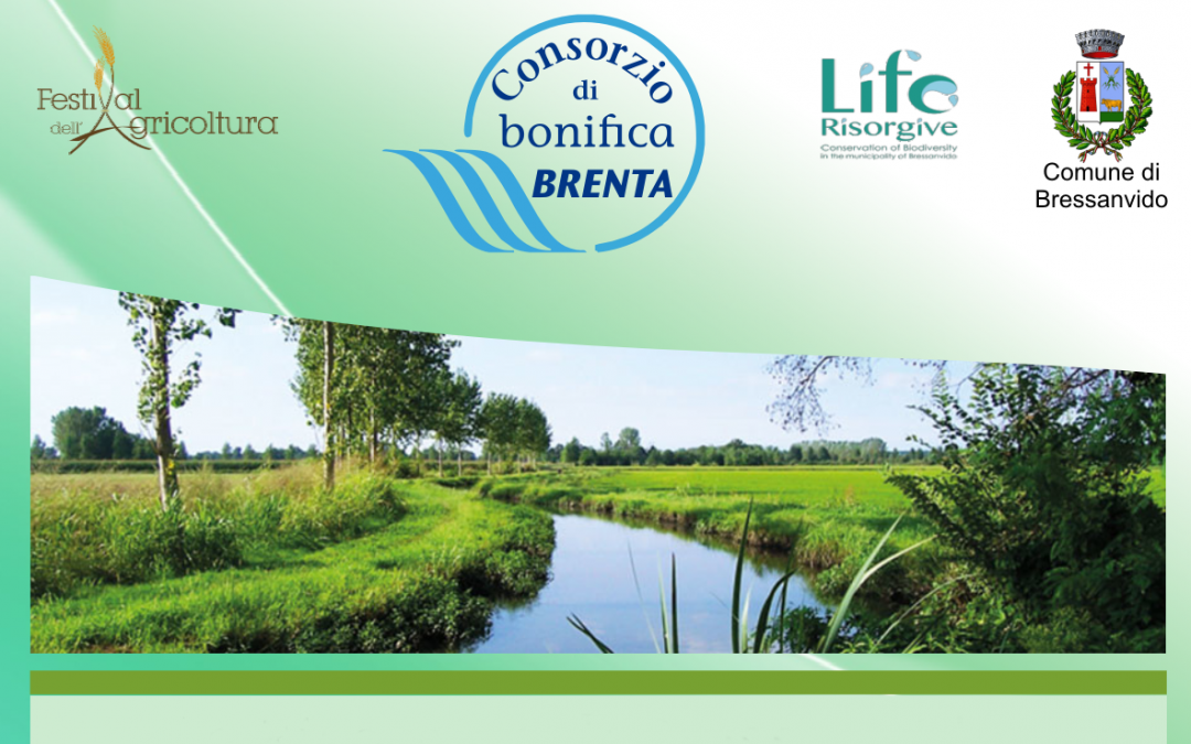 Pomeriggio di eventi sulle risorgive organizzati dal Consorzio di bonifica Brenta martedì prossimo a Bressanvido