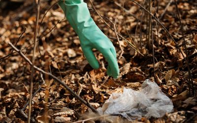 Giornate ecologiche sono in programma la prossima domenica 13 marzo a Verona e in tre comuni nel padovano