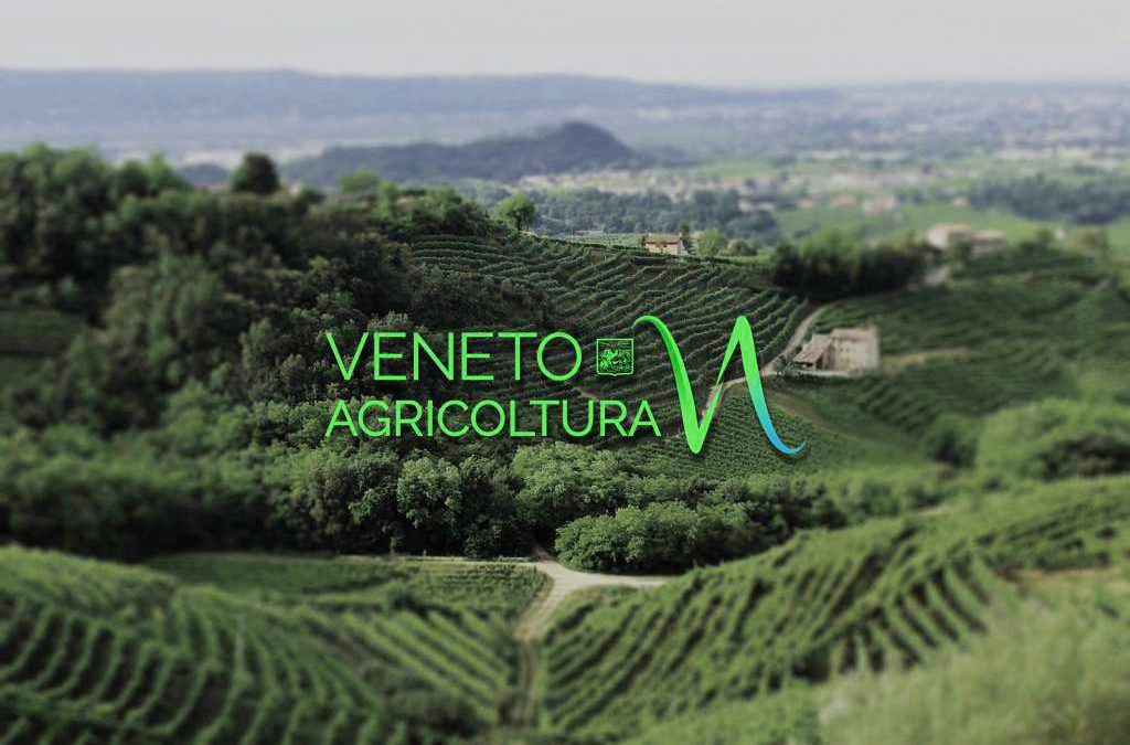 Venerdì le celebrazioni per il 100° di Veneto Agricoltura, con la presentazione di un libro e una tavola rotonda
