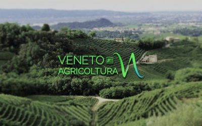 Venerdì le celebrazioni per il 100° di Veneto Agricoltura, con la presentazione di un libro e una tavola rotonda