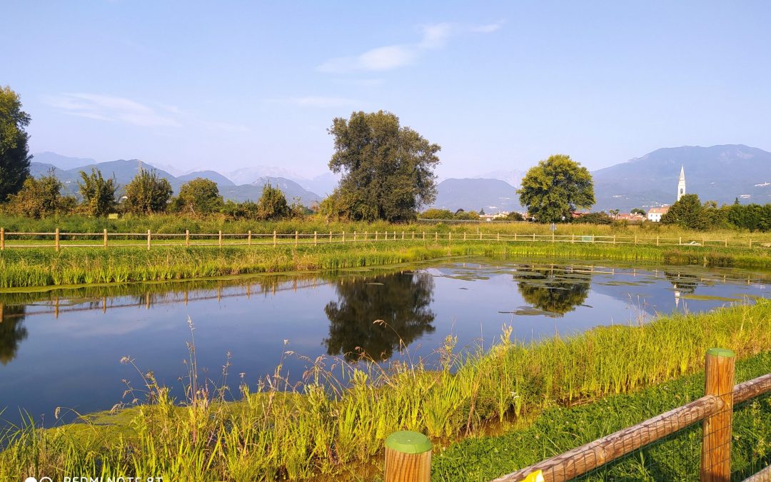 Grazie al progetto europeo LIFE Beware il laghetto a Giavenale di Schio  contrasta i cambiamenti climatici