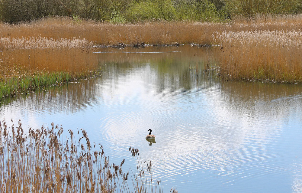 L’ARPA Veneto guarda al futuro e pubblica il proprio documento di posizionamento strategico al 2024