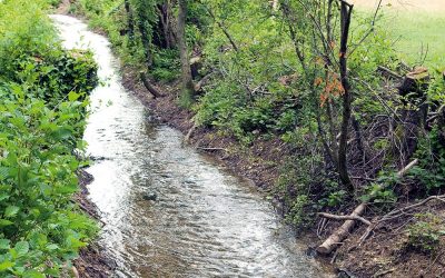 Approvato il Bilancio Ambientale del Consorzio di bonifica Brenta. Offre una panoramica completa delle attività