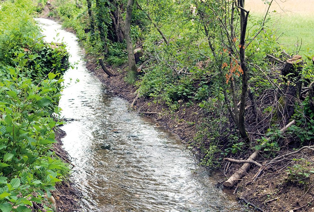 Approvato il Bilancio Ambientale del Consorzio di bonifica Brenta. Offre una panoramica completa delle attività