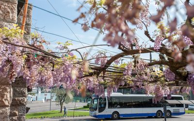 Siglato un protocollo d’intesa da ASSTRA e da ENEL X per promuovere la sostenibilità del trasporto pubblico