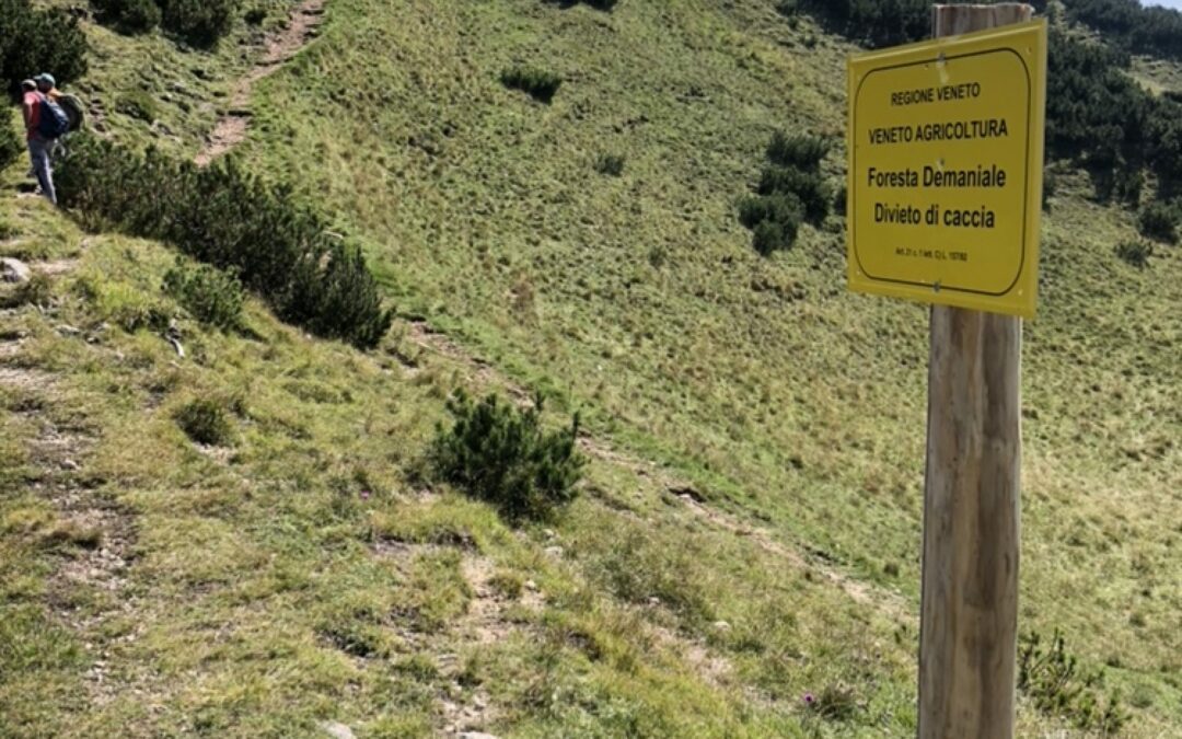 Veneto Agricoltura tabella le Foreste Veronesi e pubblica l’ultimo numero della newsletter “Europa”