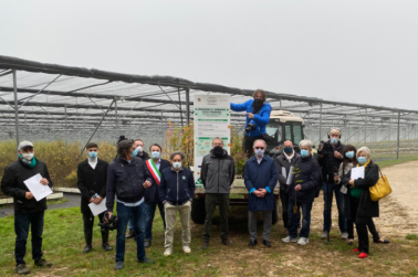 Iniziate oggi le consegne delle 70 mila piantine del progetto regionale “Ridiamo un sorriso alla Pianura Padana”